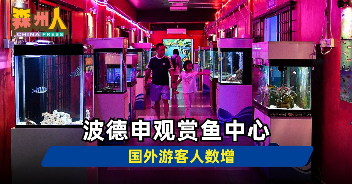 波德申观赏鱼中心 国外游客人数增