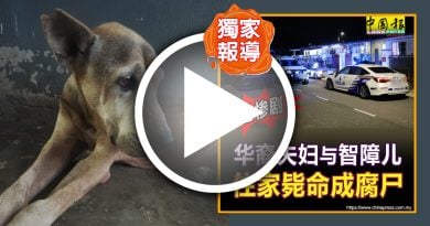 独家‧3死轻生案｜世上最悲情毛孩 它主人皆走了……