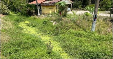 甘榜小河变“青苔河” 国盟轰州议员：没做工 !