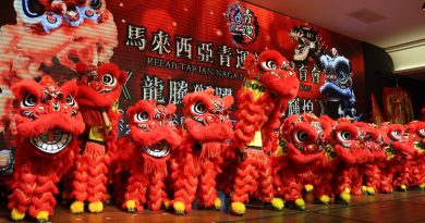 舞狮跃上旅游宣传片 谢琪清：官方认可助多元文化绽放