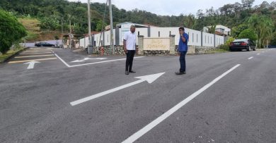 芙市厅斥资提升 文丁数住宅区  重铺路