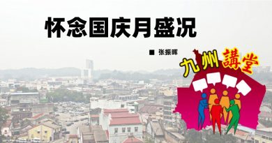张振晖：怀念国庆月盛况
