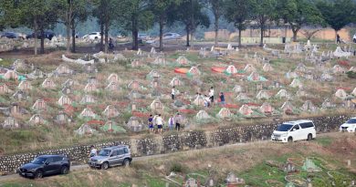 反对市政府图接管华人义山 森华联：危险先例