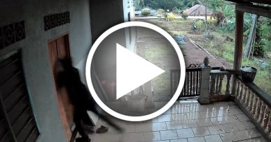 持刀闯屋抢劫老妇 警捕2嫌犯扣7天助查