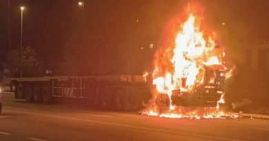 罗厘行驶中突自燃 烈焰吞噬车首瞬成废铁