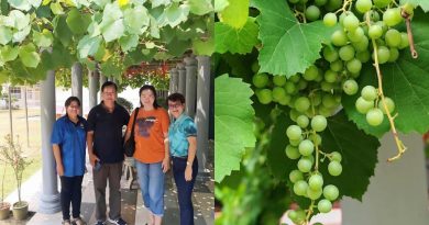 退休校长重返淡边华小 见证亲手打造葡萄园丰收成果