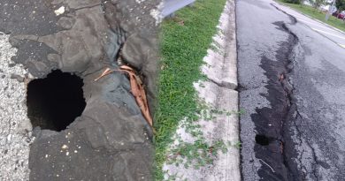 新住宅区道路龟裂百尺 可疑路洞引居民担忧