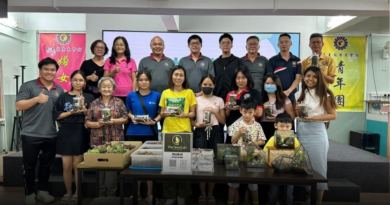 森广东青植物微景观工作坊  亲子同乐体验绿意创意